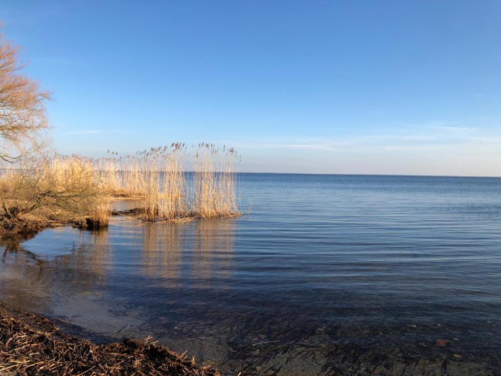 Ferienwohnung Seeblick - Insel Usedom Balm ภายนอก รูปภาพ