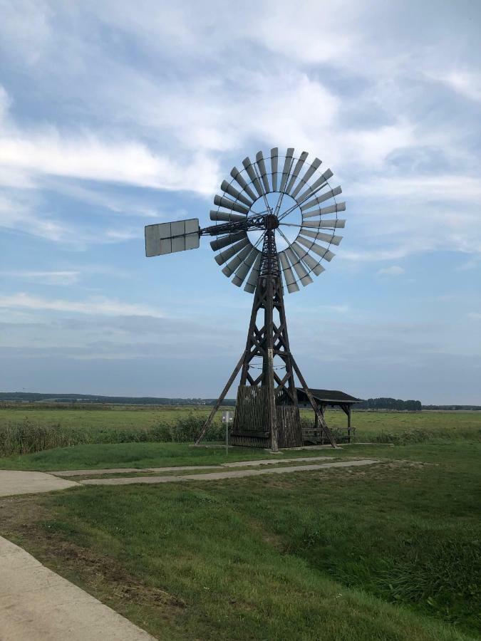 Ferienwohnung Seeblick - Insel Usedom Balm ภายนอก รูปภาพ